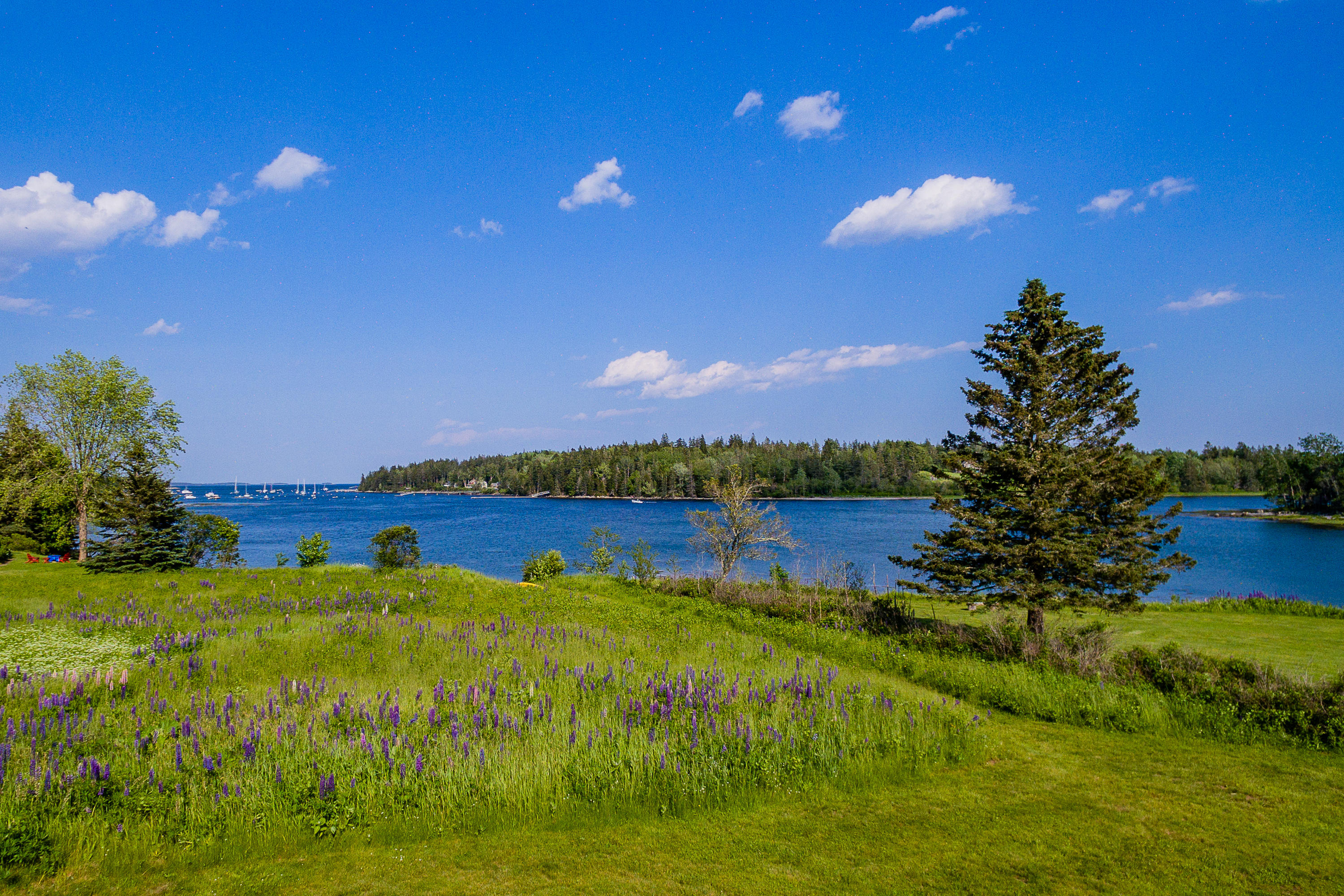 5 Hope Lane St. George, ME 04860 - Photo 12 of 41 5Hope_12_S_print