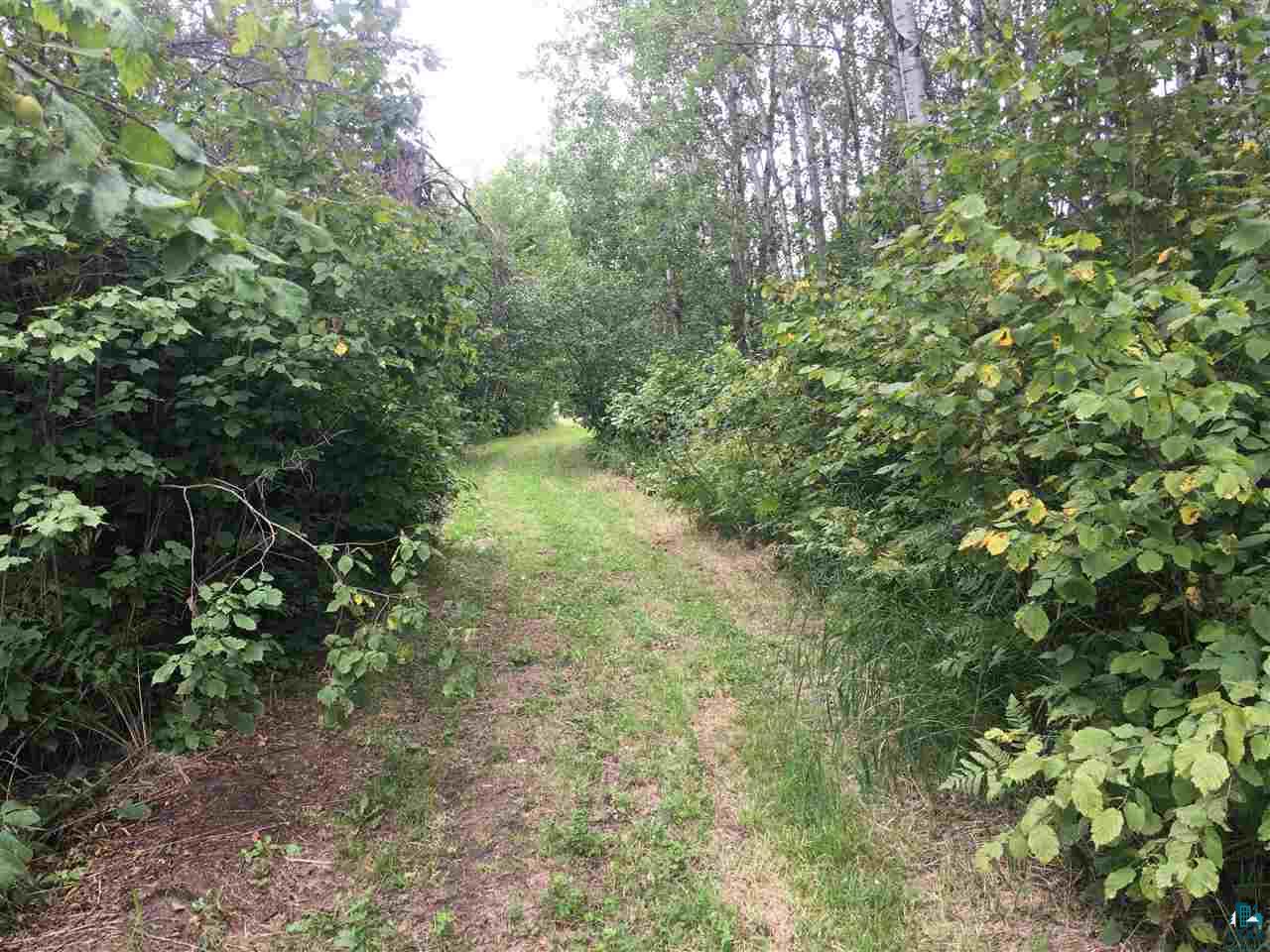 Tbd Dickman Road Forbes, MN 55738 - Photo 2 of 6 Gallery Image 2