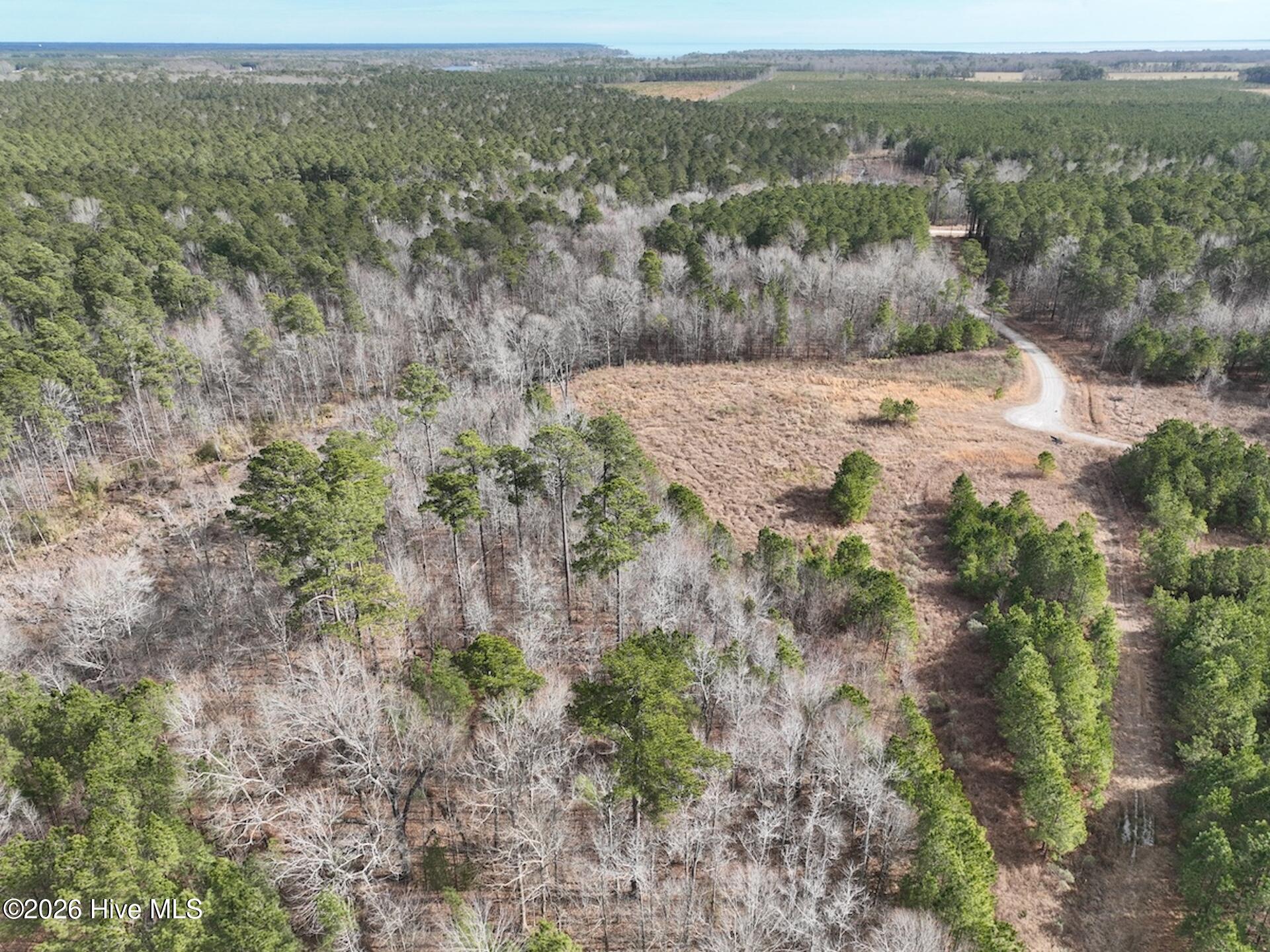 405 Batts Island Road Edenton, NC 27932 - Photo 15 of 43 7