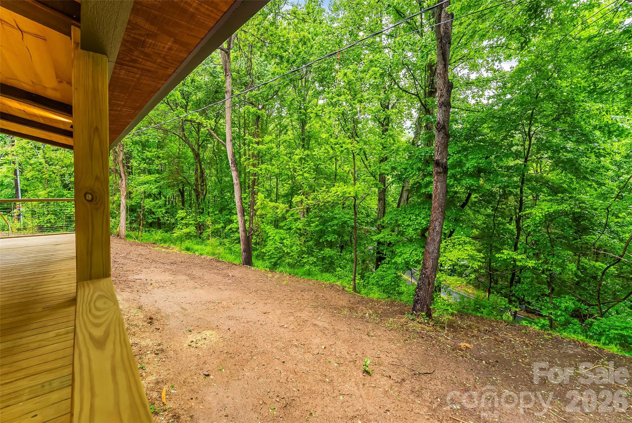 1737 Newfound Road Leicester, NC 28748 - Photo 41 of 47