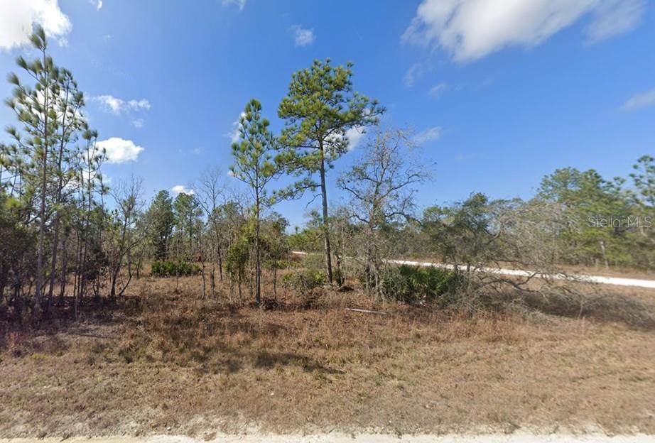 16341 Kingbird Road Brooksville, FL 34614 - Photo 1 of 1 a view of a yard with a tree