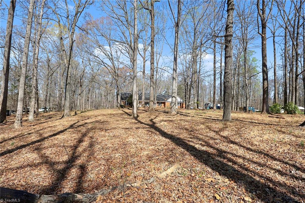 6726 Branson Mill Road Pleasant Garden, NC 27313 - Photo 29 of 32