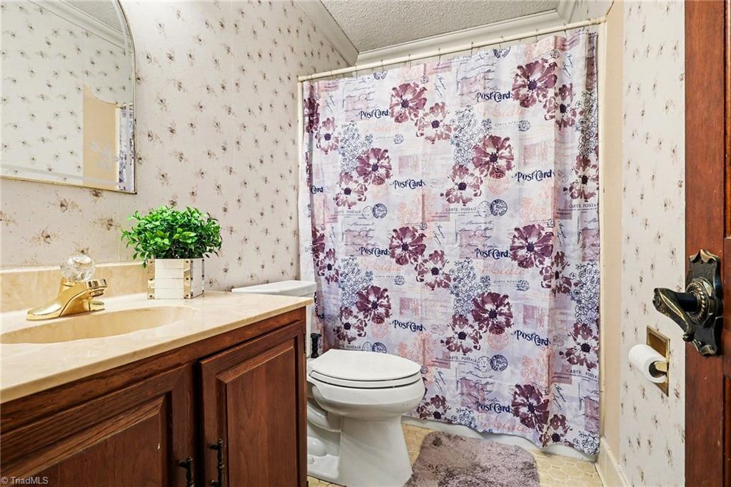 6726 Branson Mill Road Pleasant Garden, NC 27313 - Photo 9 of 32 Bathroom