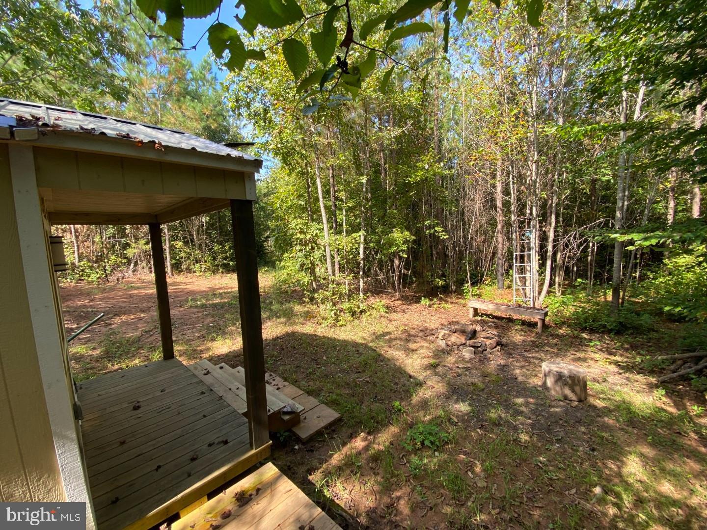 684 Squirrel Hollow Road Alberta, VA 23821 - Photo 23 of 43 Serene woodland retreat awaits exploration.