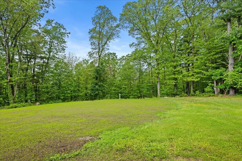 9 Lillian Road Acton, MA 01720 - Photo 28 of 34