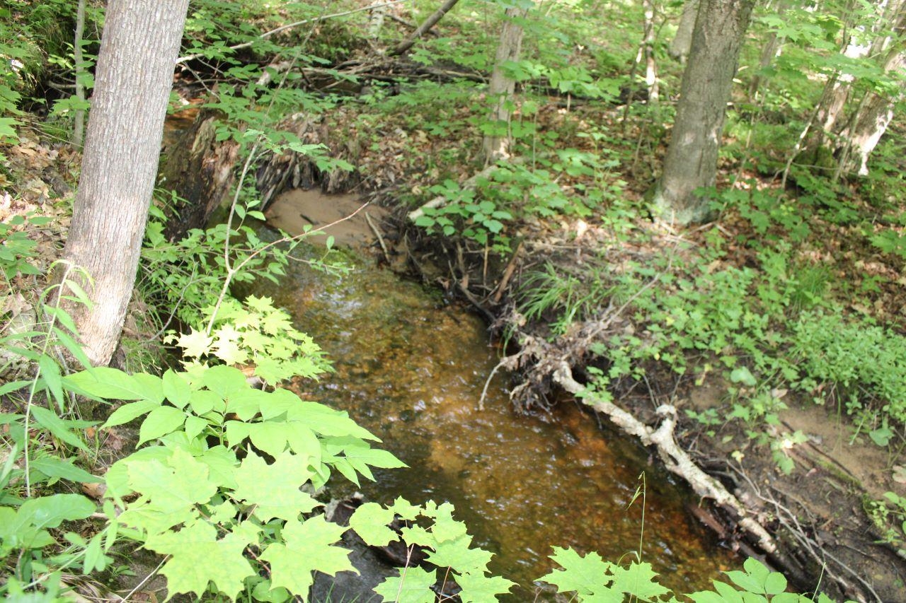 2750 Apple Creek Road Kalkaska, MI 49646 - Photo 4 of 24