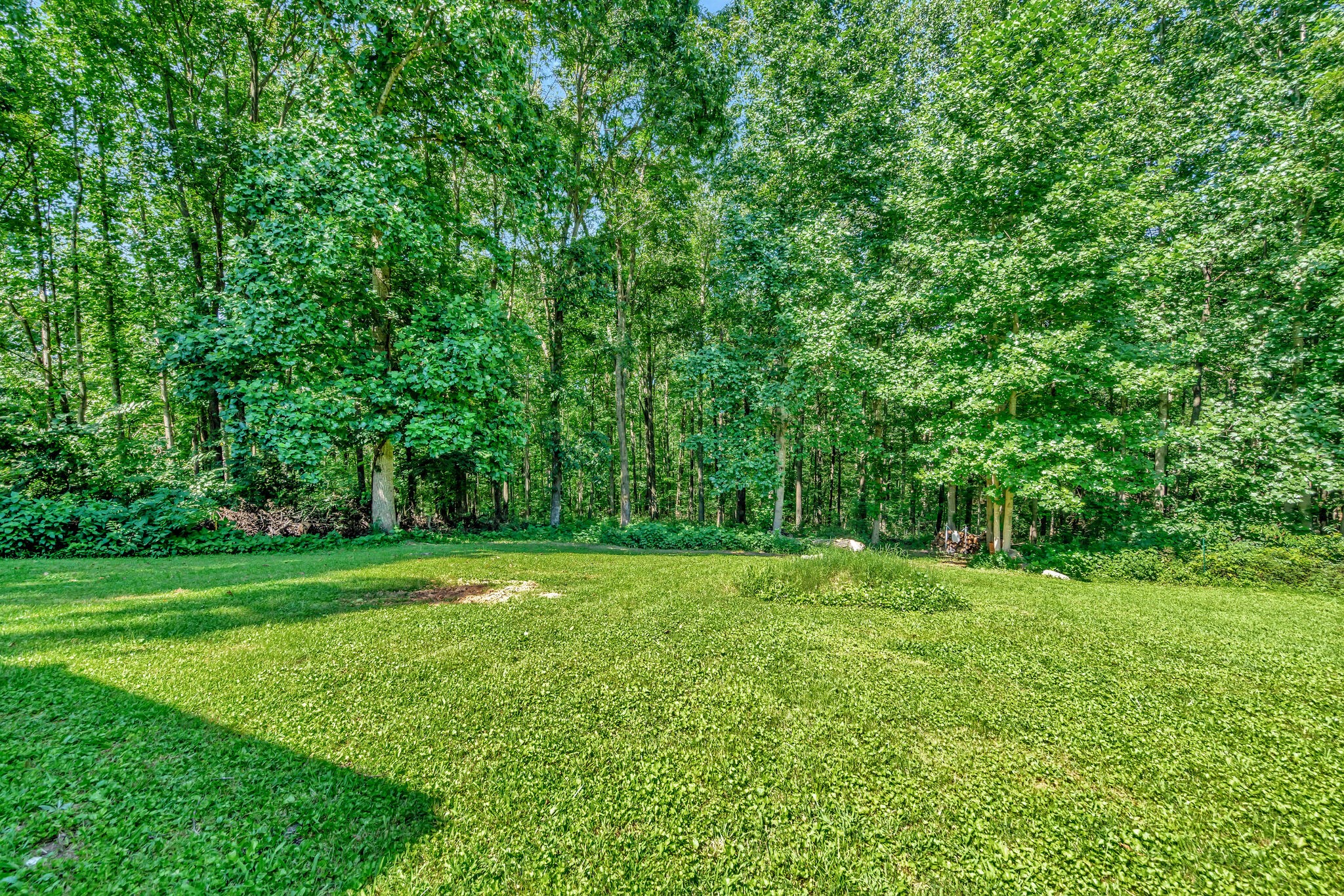 175 B Mitchell Road Portland, TN 37148 - Photo 25 of 29 a view of a grassy field with trees in the background