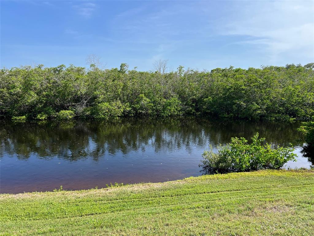 455 Alt 19, Unit 159 Palm Harbor, FL 34683 - Photo 3 of 26 a view of a lake