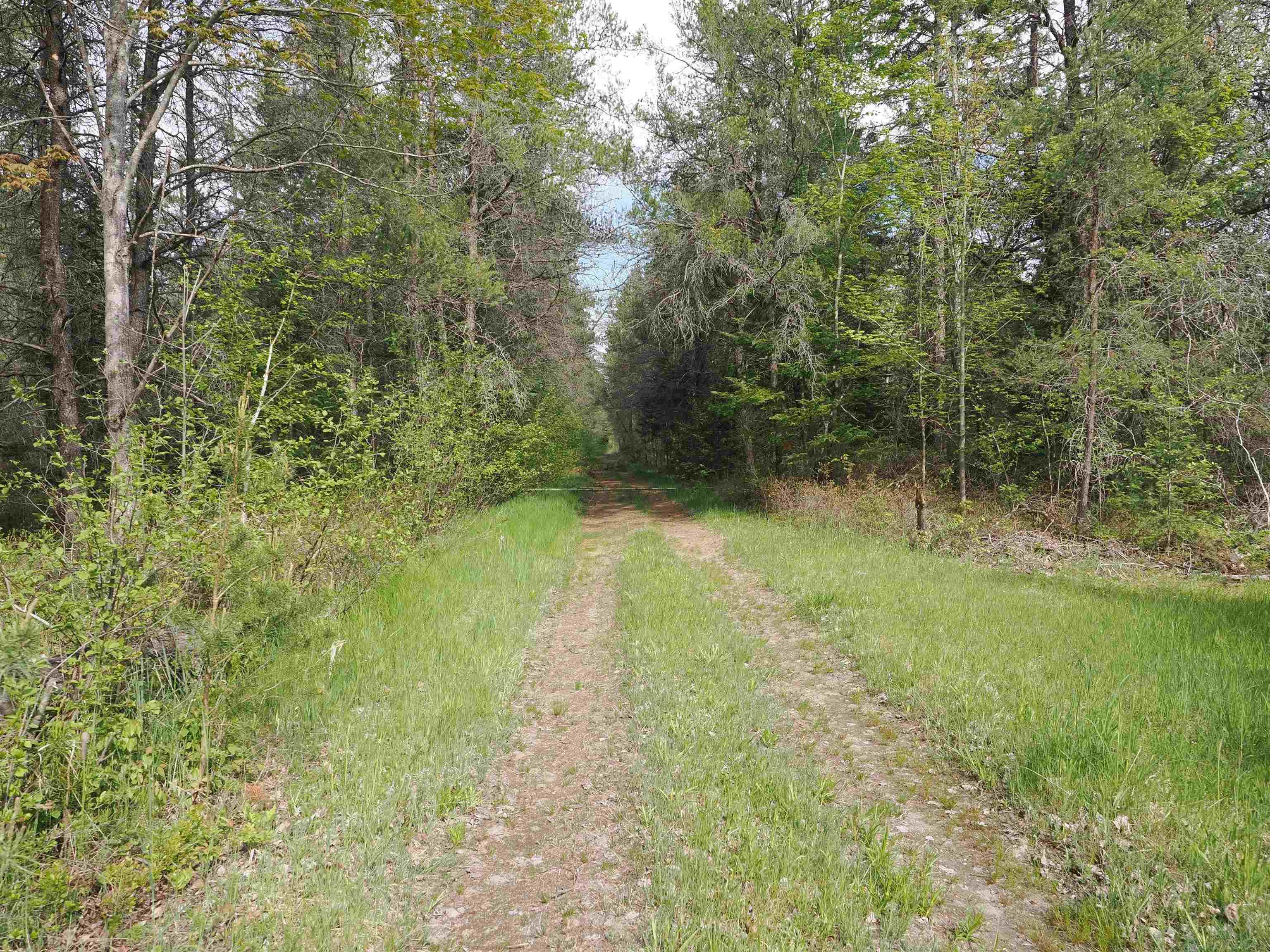 4011 Sandall Road Alpena, MI 49707 - Photo 52 of 73