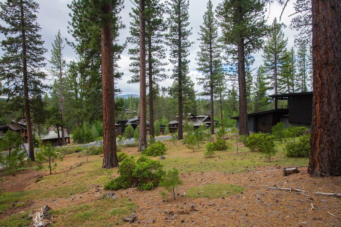11360 Ghirard Road Truckee, CA 96161 - Photo 5 of 8