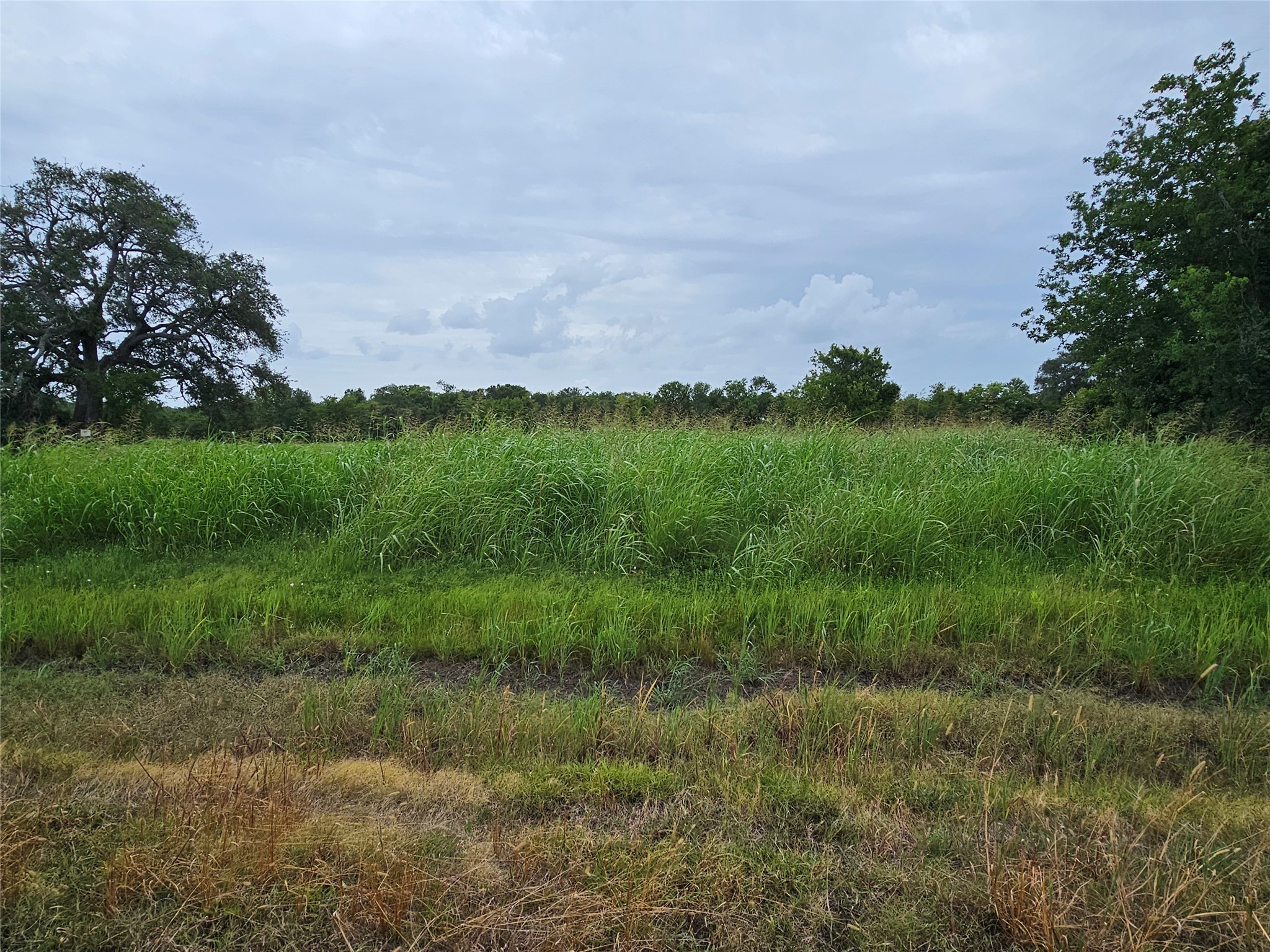 a view of a lush green outdoor space with a swimming pool and valleys in the background