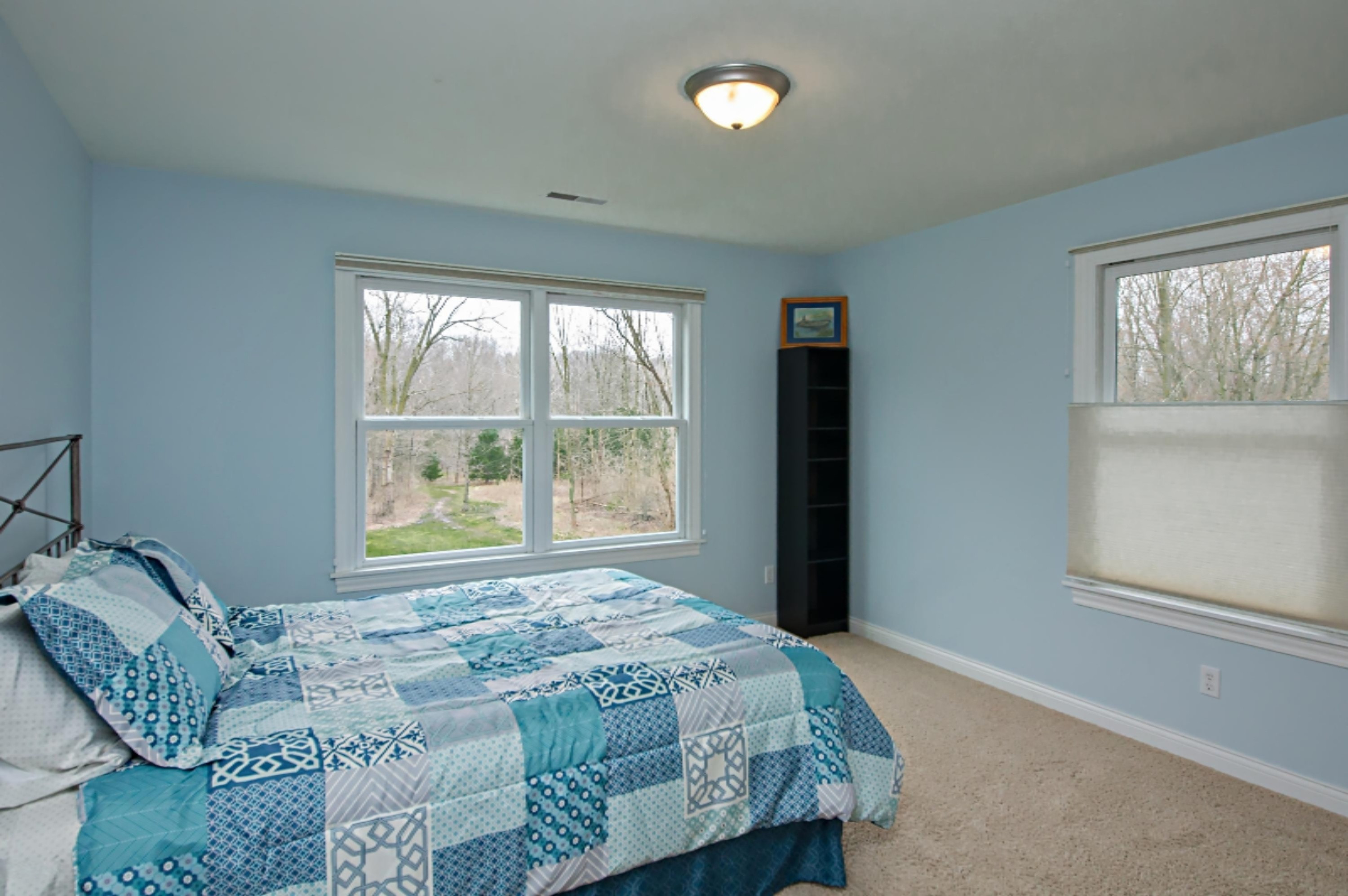 4755 Bacon School Road St. Joseph, MI 49085 - Photo 33 of 59 DSC01491_pe