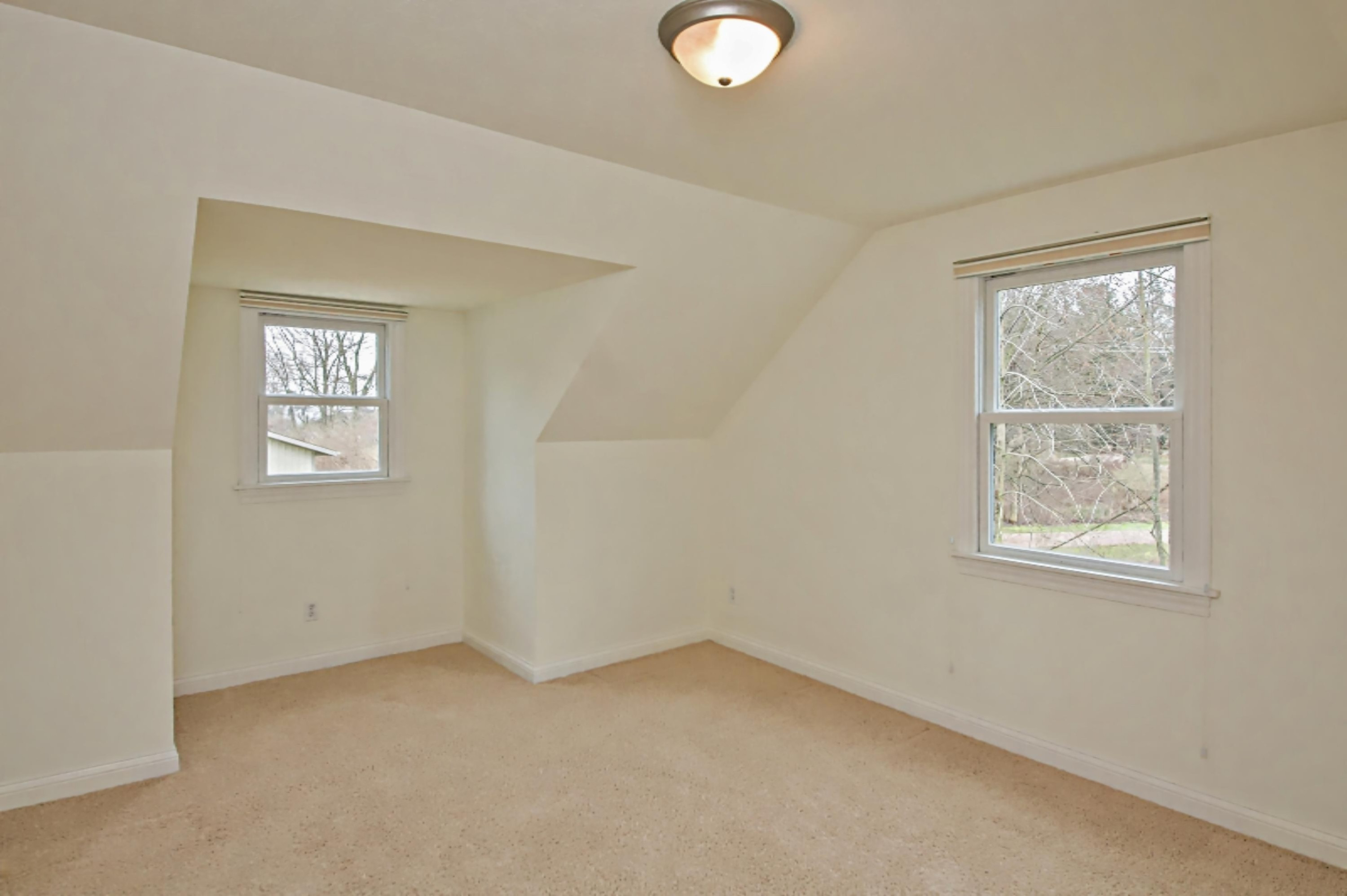 4755 Bacon School Road St. Joseph, MI 49085 - Photo 41 of 59 DSC01498_pe