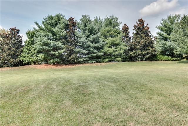 2105 Lake Ridge Way Franklin, TN 37069 - Photo 20 of 20 Gallery Image 20