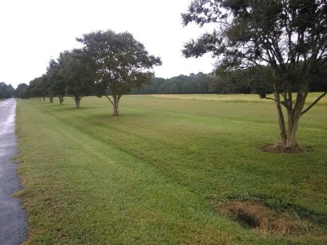 Lot 2 Clearview Road, Unit 2 Exmore, VA 23350 - Photo 11 of 12