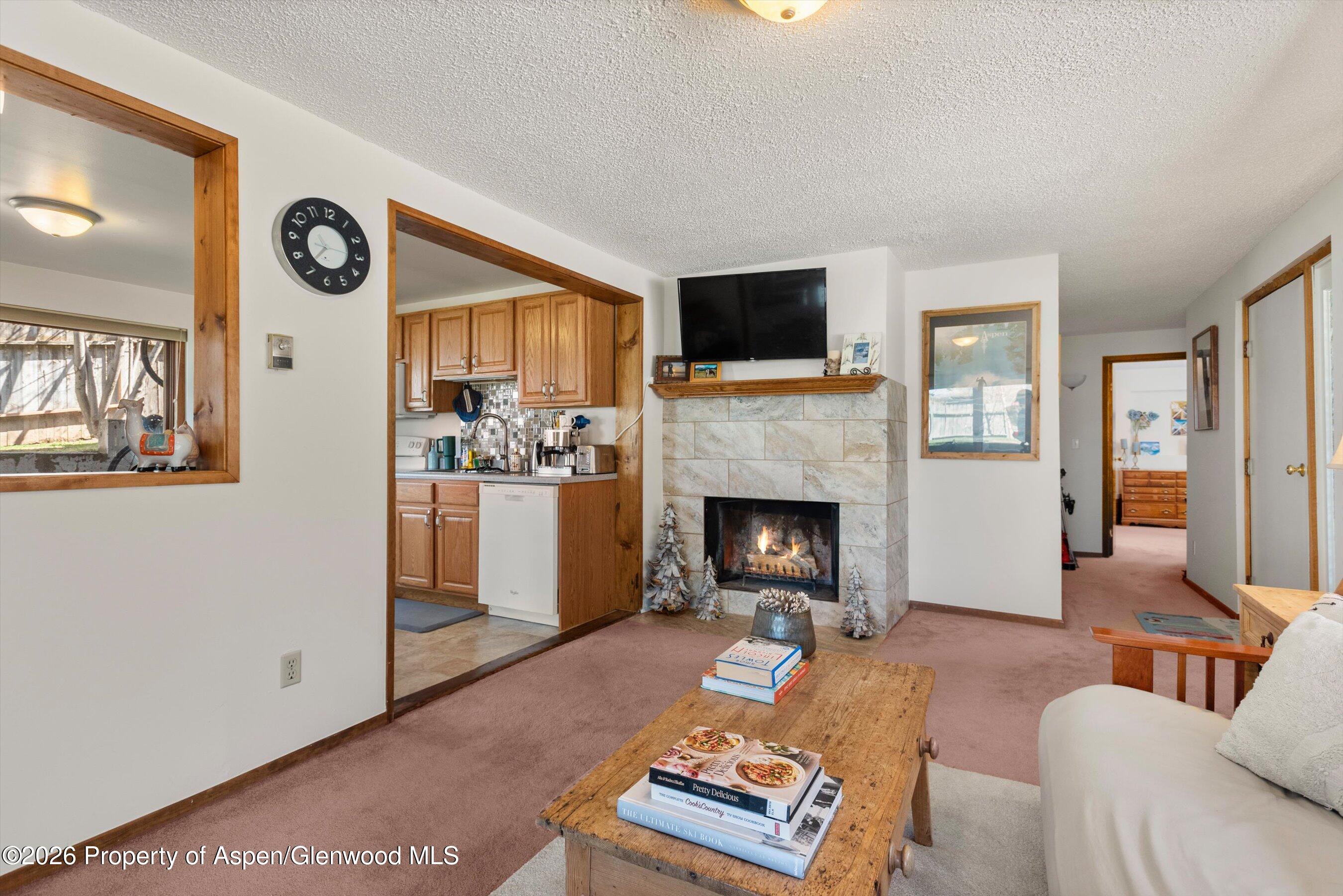 53 Spruce Street, Unit S 1 AND 2 Aspen, CO 81611 - Photo 19 of 67 18-18-534SpruceSt_250429018