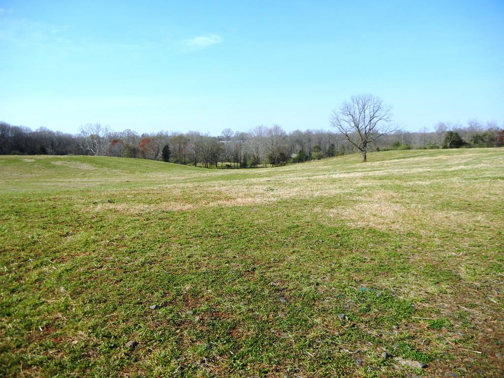 Mill Road Dillwyn, VA 23936 - Photo 17 of 29 Gallery Image 17