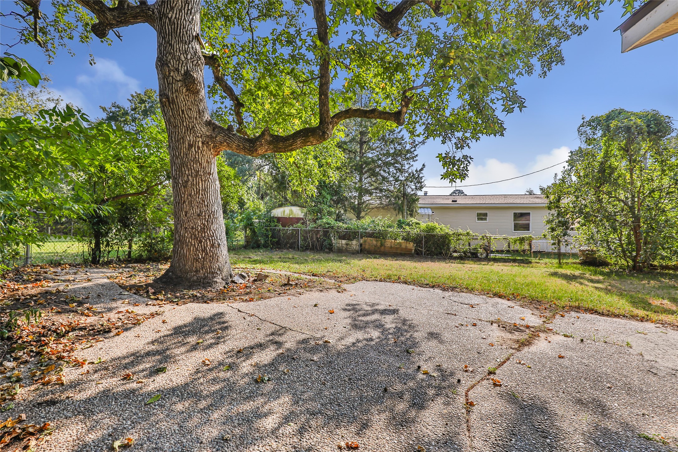 2717 Old Houston Road Huntsville, TX 77340 - Photo 7 of 34 Backyard