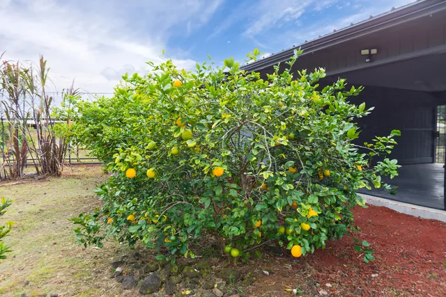 $1,150,000 | 15-1746 23rd Avenue, Keaau, HI 96749
