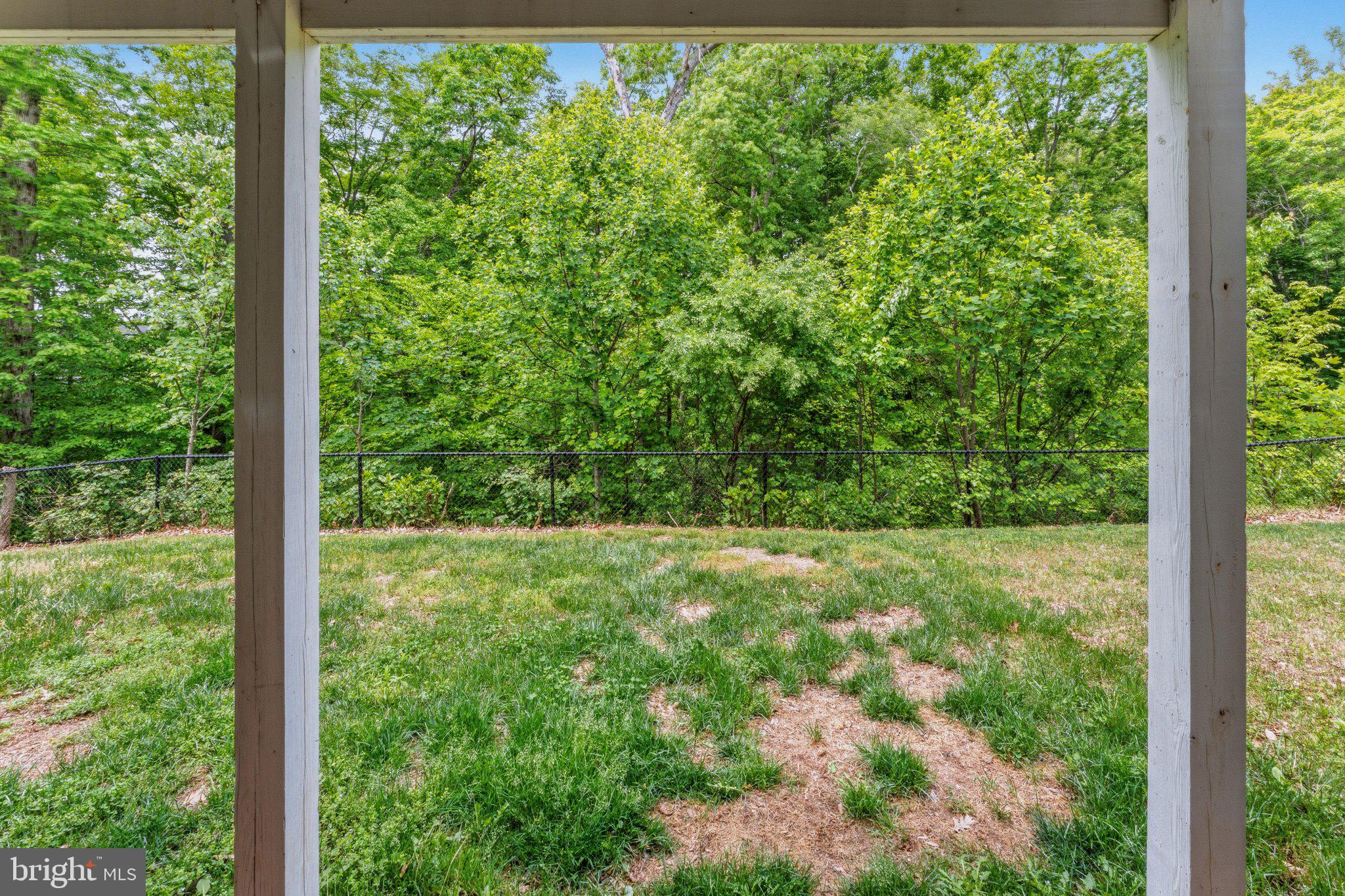 320 Tree Line Drive Fredericksburg, VA 22405 - Photo 42 of 49 a view of a yard with plants in front of yard
