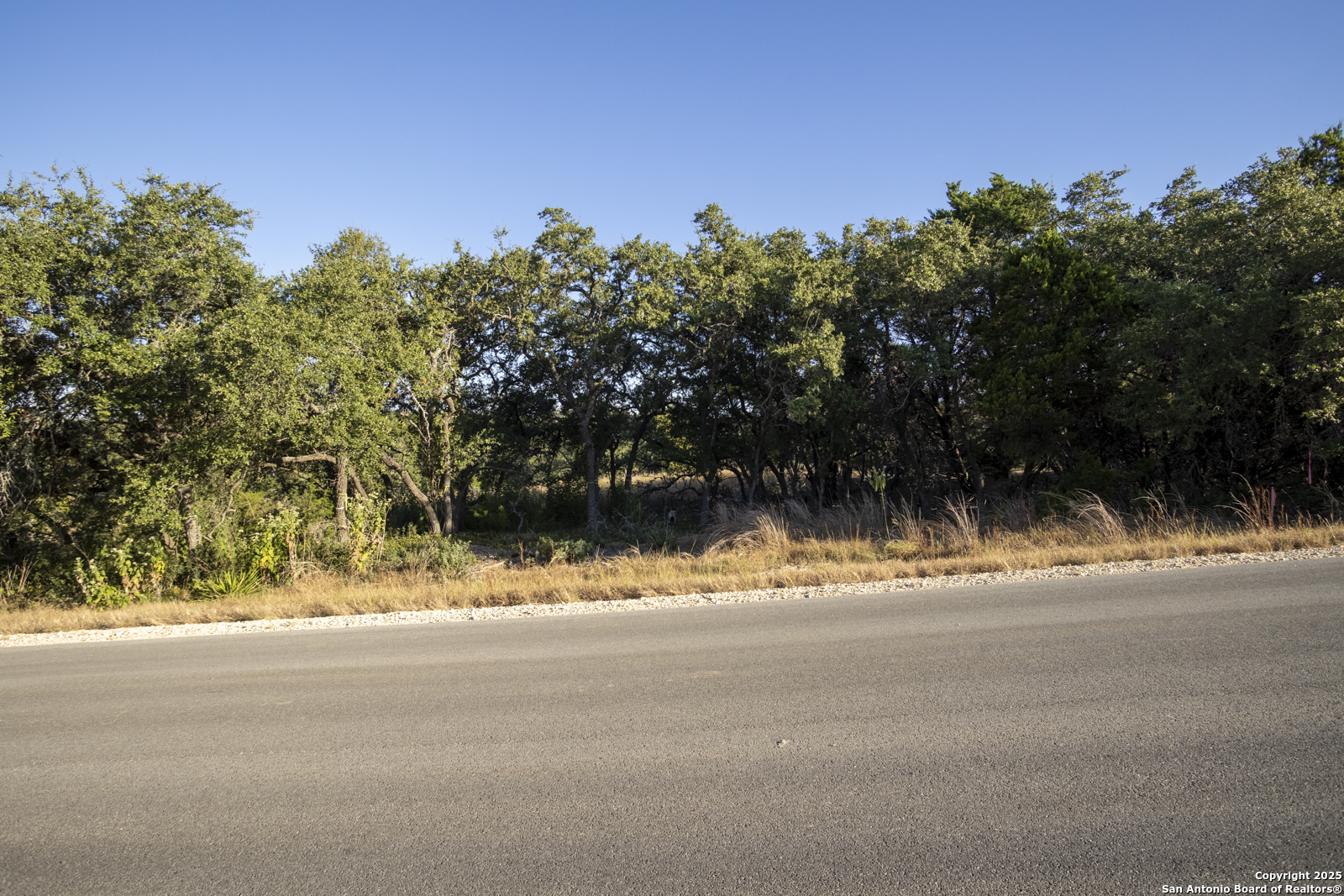 4246 Richmond Avenue Spring Branch, TX 78070 - Photo 2 of 14