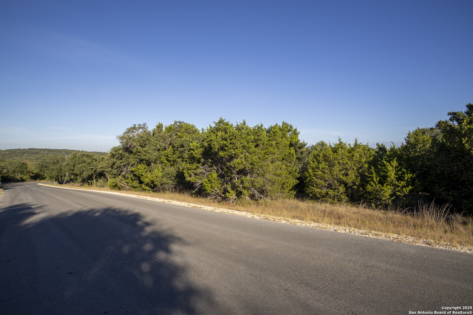 4246 Richmond Avenue Spring Branch, TX 78070 - Photo 3 of 14