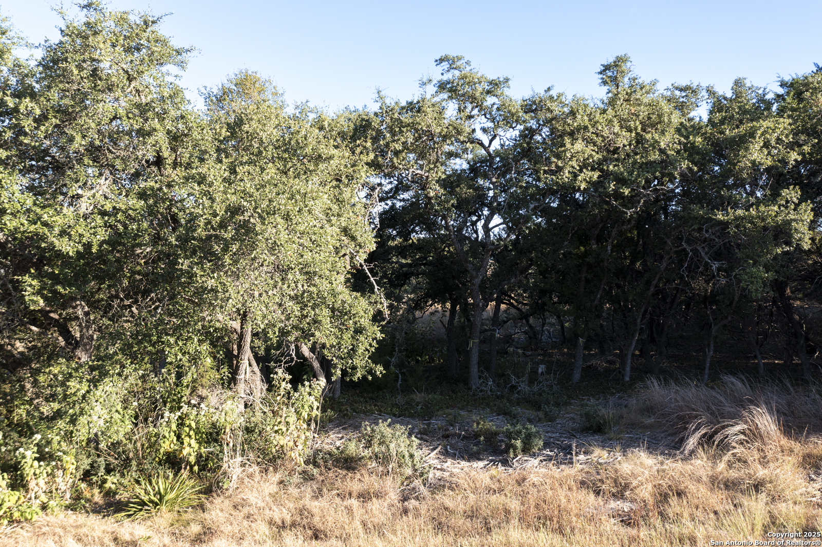 4246 Richmond Avenue Spring Branch, TX 78070 - Photo 8 of 14