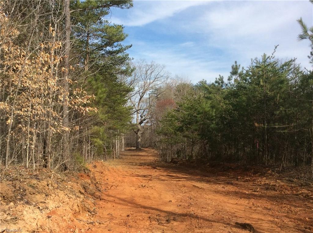 Lot 8 Sandy Rdg Trail Pinnacle, NC 27043 - Photo 11 of 27