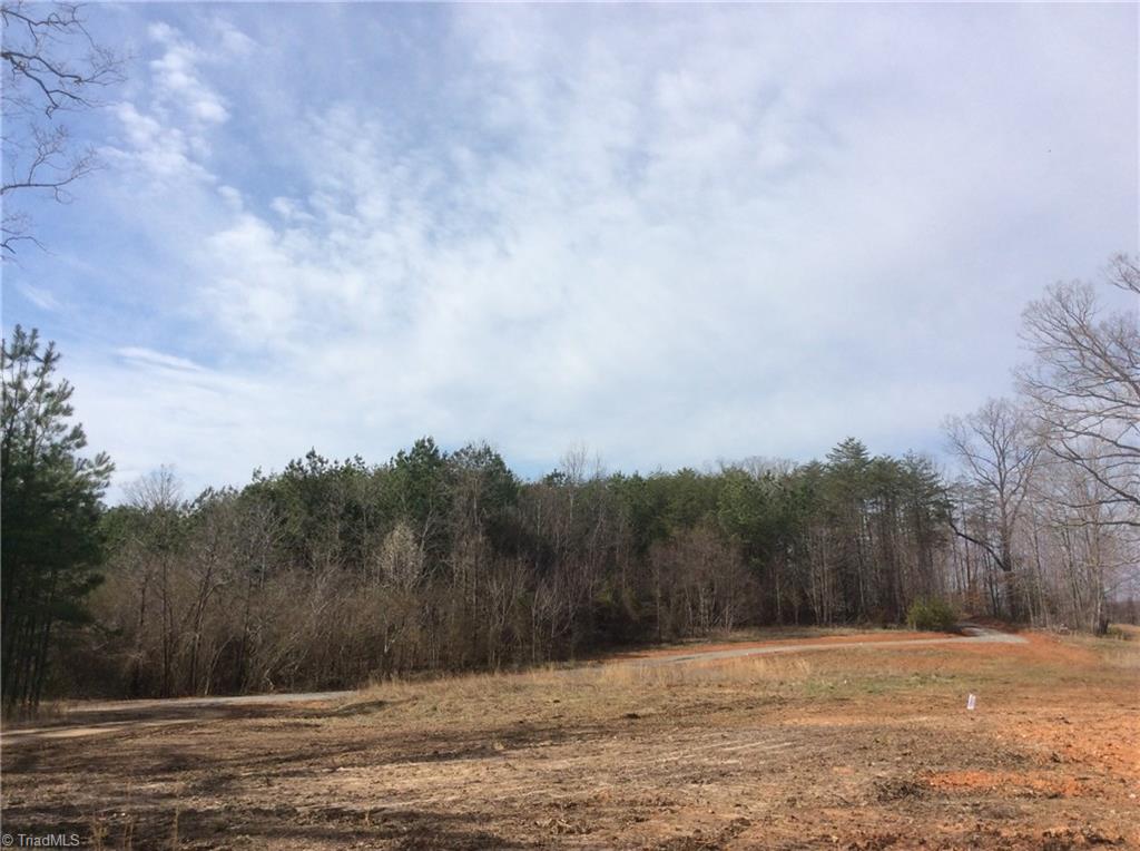 Lot 8 Sandy Rdg Trail Pinnacle, NC 27043 - Photo 13 of 27