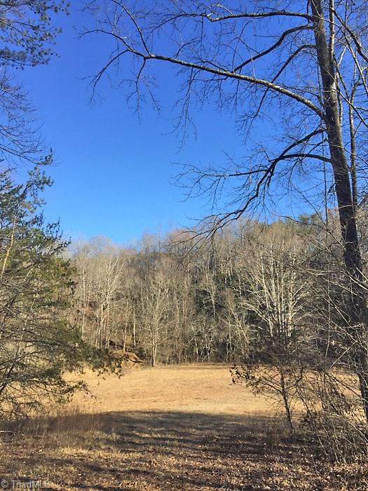 Lot 8 Sandy Rdg Trail Pinnacle, NC 27043 - Photo 14 of 27