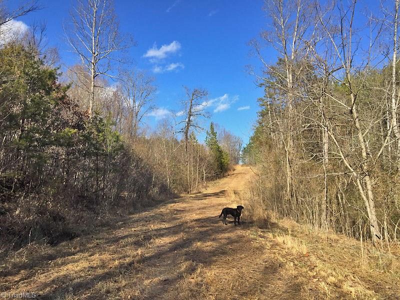 Lot 8 Sandy Rdg Trail Pinnacle, NC 27043 - Photo 15 of 27