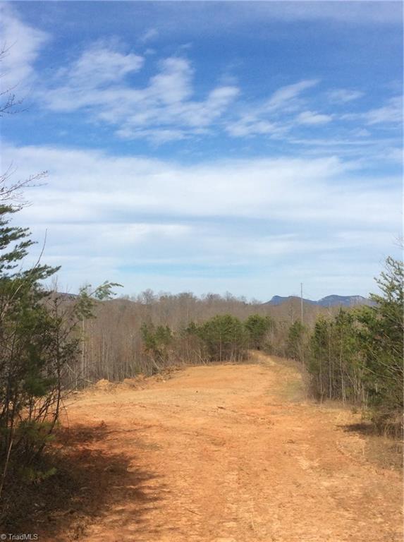 Lot 8 Sandy Rdg Trail Pinnacle, NC 27043 - Photo 3 of 27