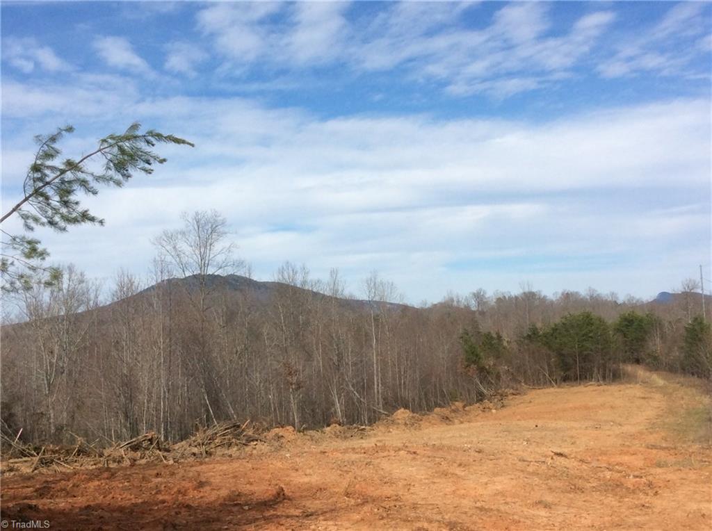 Lot 8 Sandy Rdg Trail Pinnacle, NC 27043 - Photo 4 of 27
