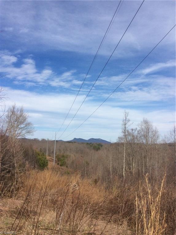 Lot 8 Sandy Rdg Trail Pinnacle, NC 27043 - Photo 5 of 27