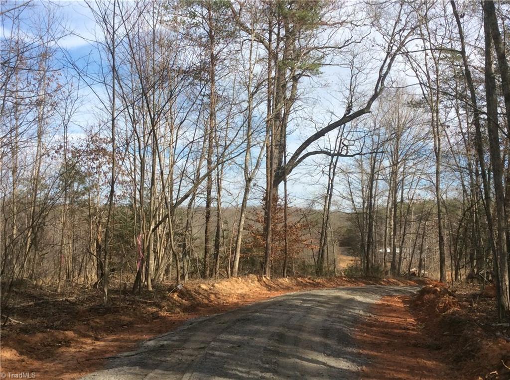 Lot 8 Sandy Rdg Trail Pinnacle, NC 27043 - Photo 7 of 27