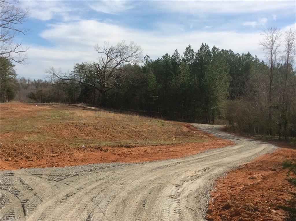 Lot 8 Sandy Rdg Trail Pinnacle, NC 27043 - Photo 8 of 27