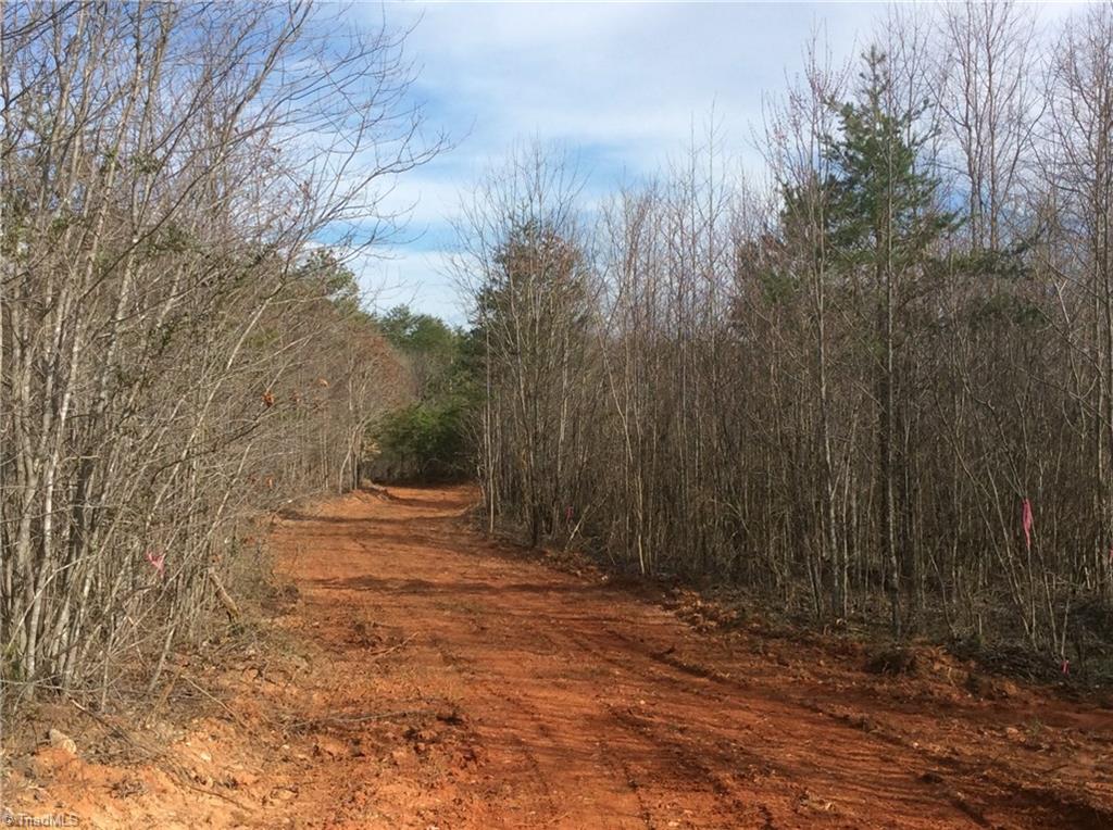 Lot 8 Sandy Rdg Trail Pinnacle, NC 27043 - Photo 10 of 27