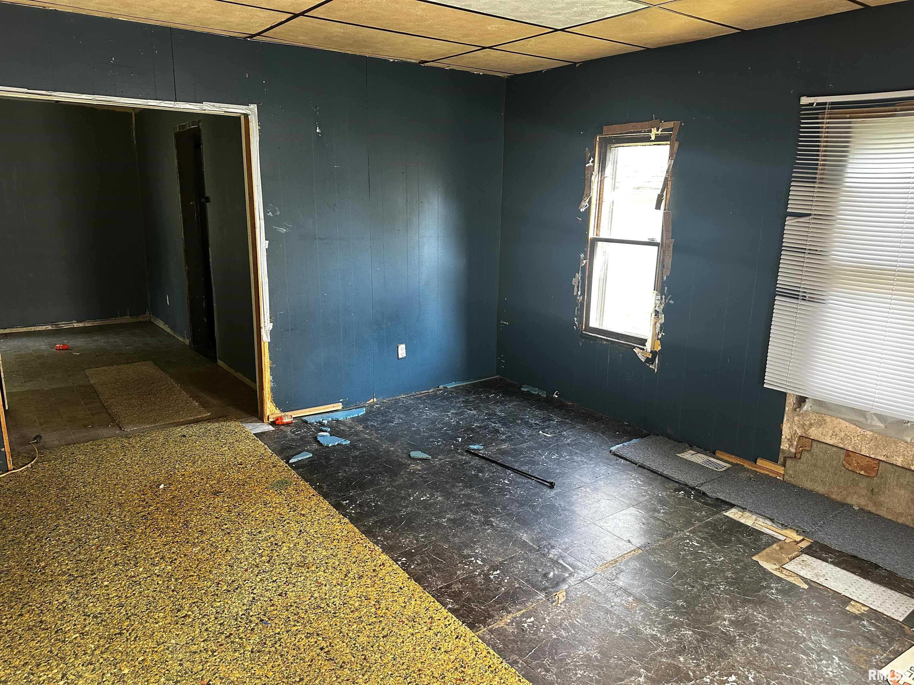 337 Hipple Court Canton, IL 61520 - Photo 3 of 7