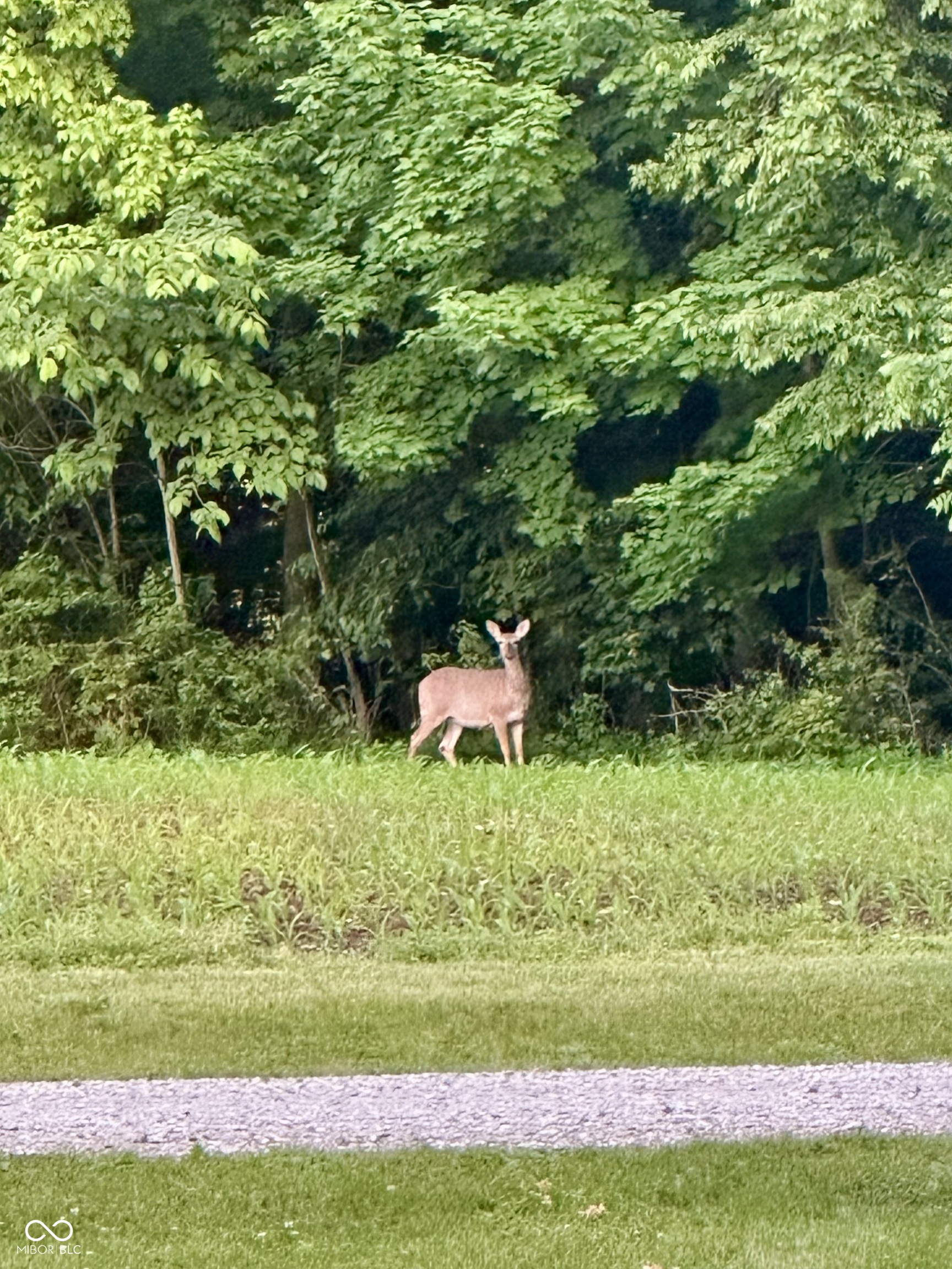 3594 Roland Drive Kingman, IN 47952 - Photo 9 of 22
