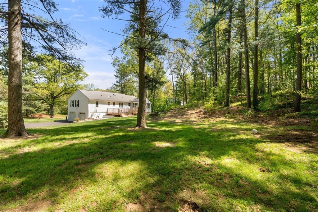 98 Union Street Norfolk, MA 02056 - Photo 37 of 38 a view of a trees in a yard