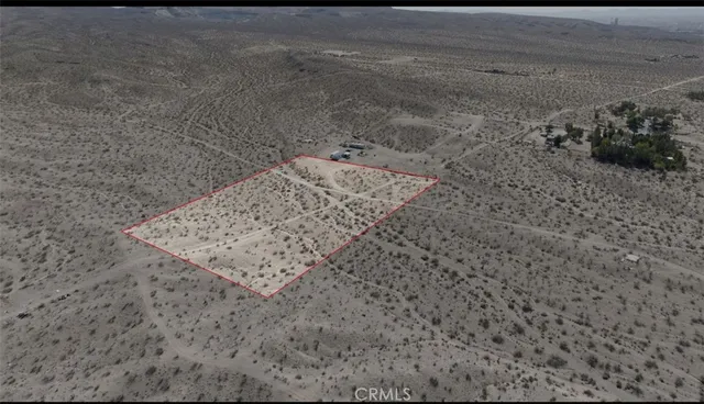 a view of a dry yard