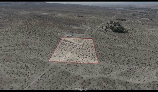 a view of a dry yard with wooden fence
