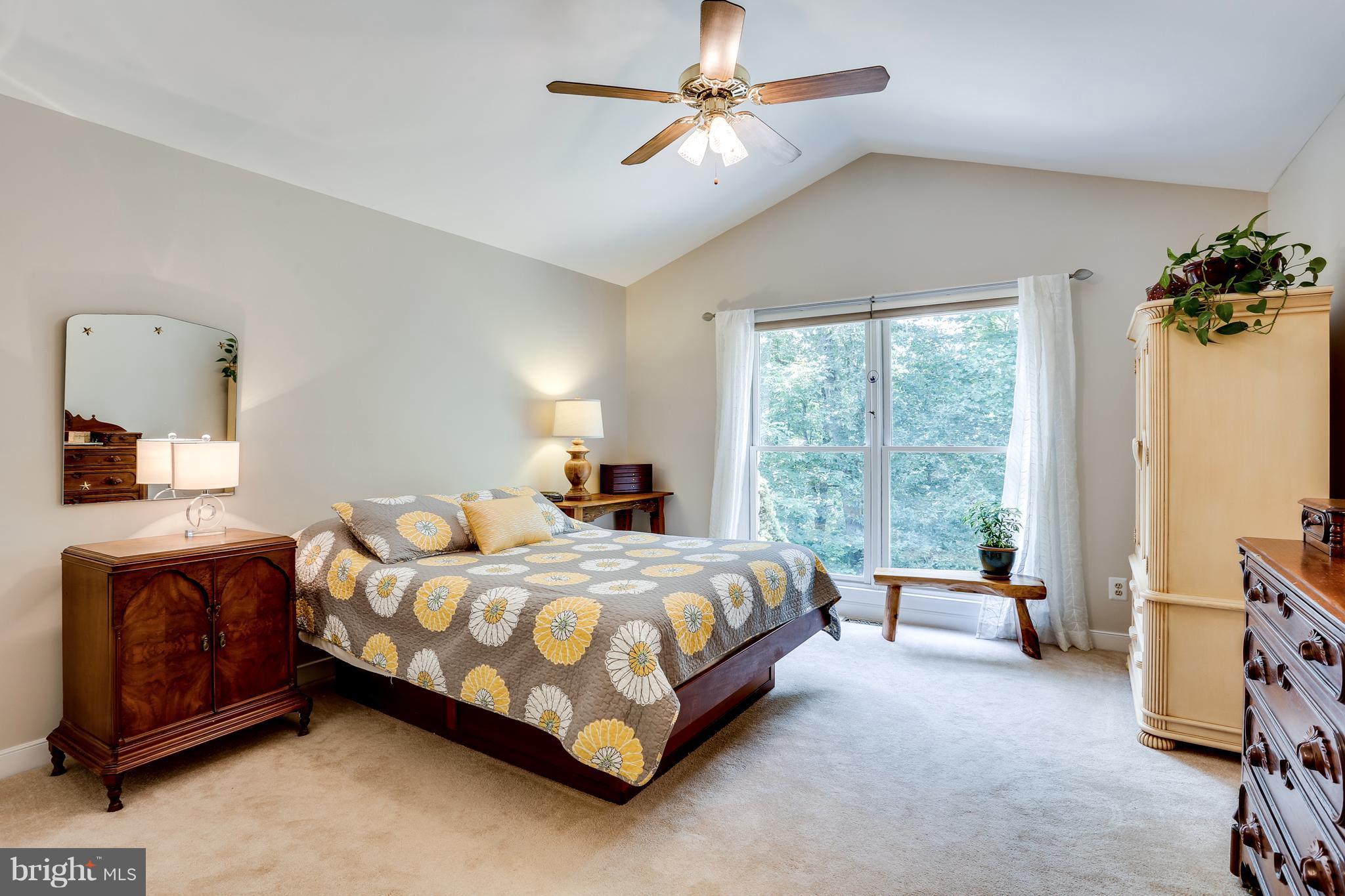 6709 Cabin Branch Road Marshall, VA 20115 - Photo 12 of 26 Bedroom (Master)-light filled and airy