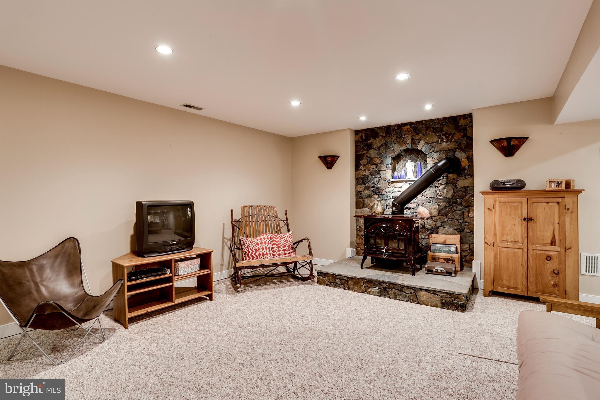6709 Cabin Branch Road Marshall, VA 20115 - Photo 18 of 26 Basement with stone hearth/wall and wood stove