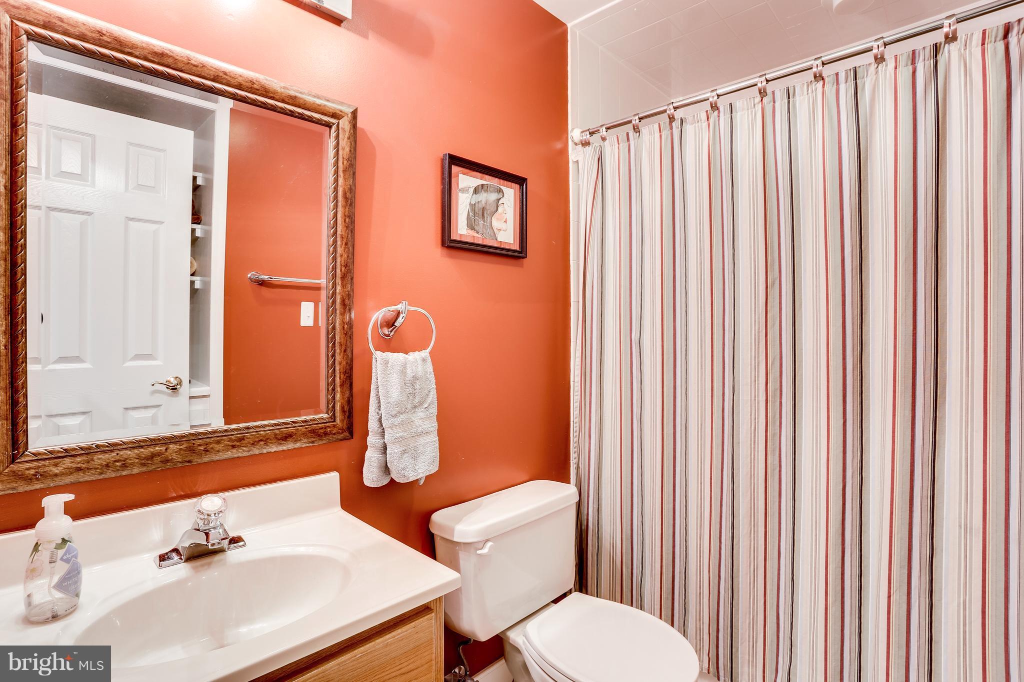 6709 Cabin Branch Road Marshall, VA 20115 - Photo 20 of 26 Full Bath in Basement