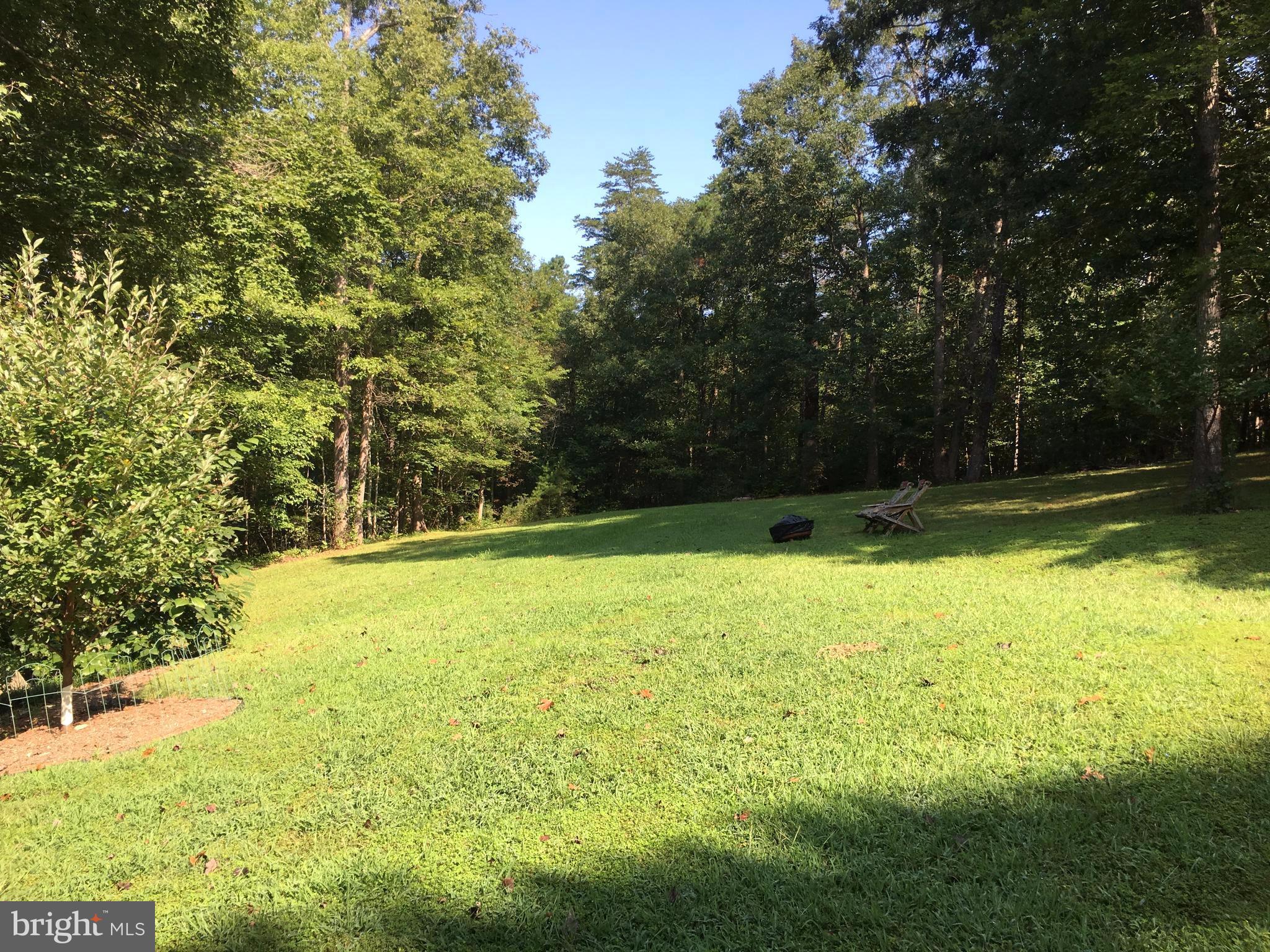 6709 Cabin Branch Road Marshall, VA 20115 - Photo 4 of 26 Large cleared side yard