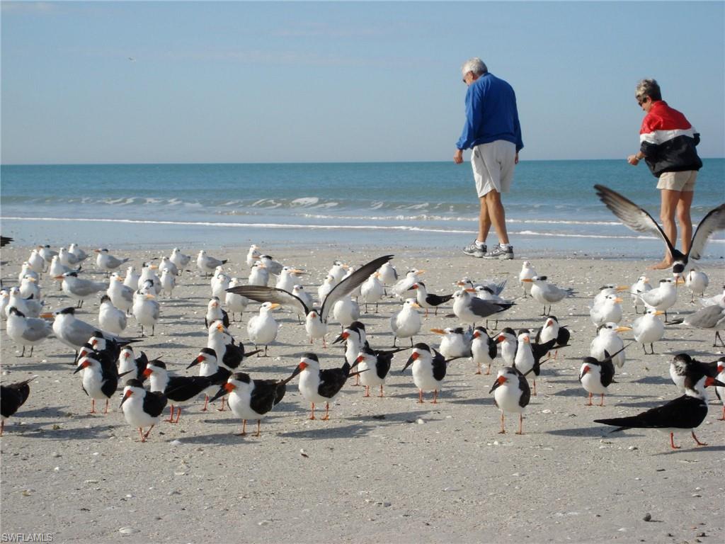 690 100th Avenue North Naples, FL 34108 - Photo 30 of 33