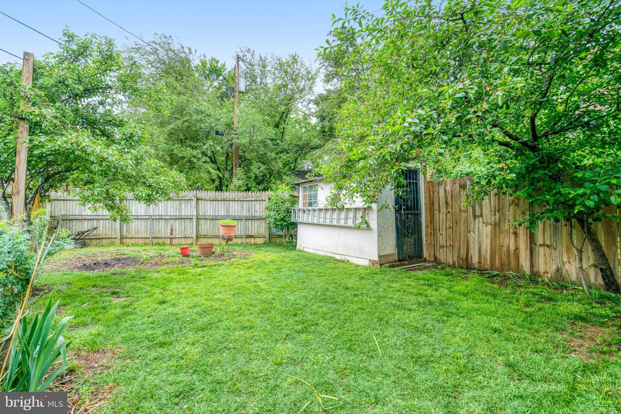 102 South Glebe Road Arlington, VA 22204 - Photo 50 of 52 a view of backyard with a barn and large trees