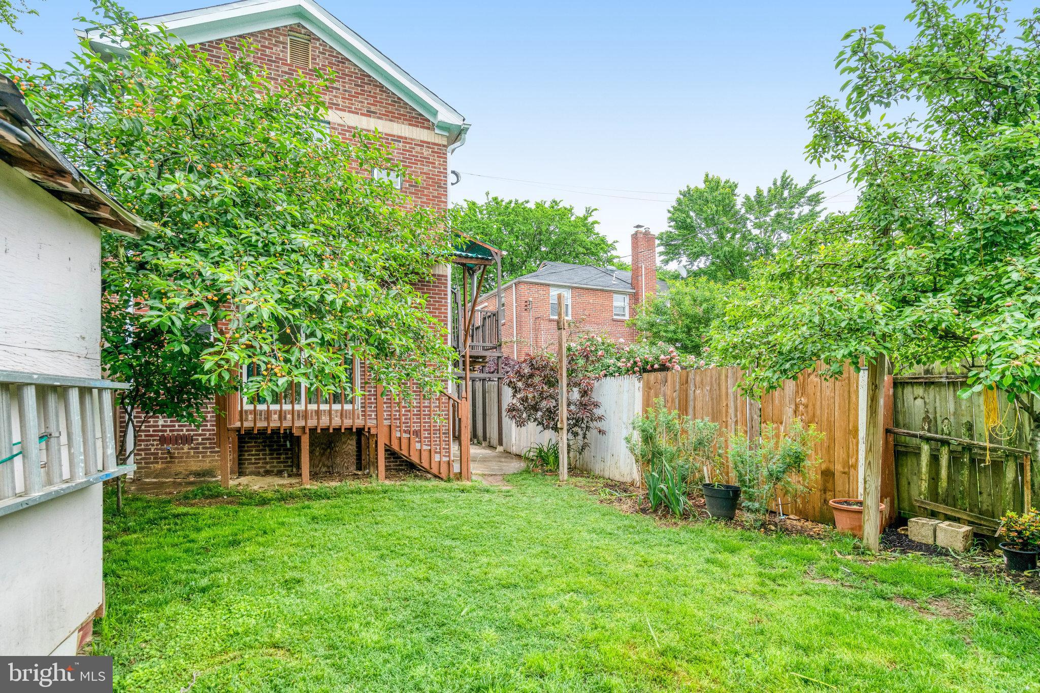 102 South Glebe Road Arlington, VA 22204 - Photo 51 of 52 a view of a house with backyard and a tree