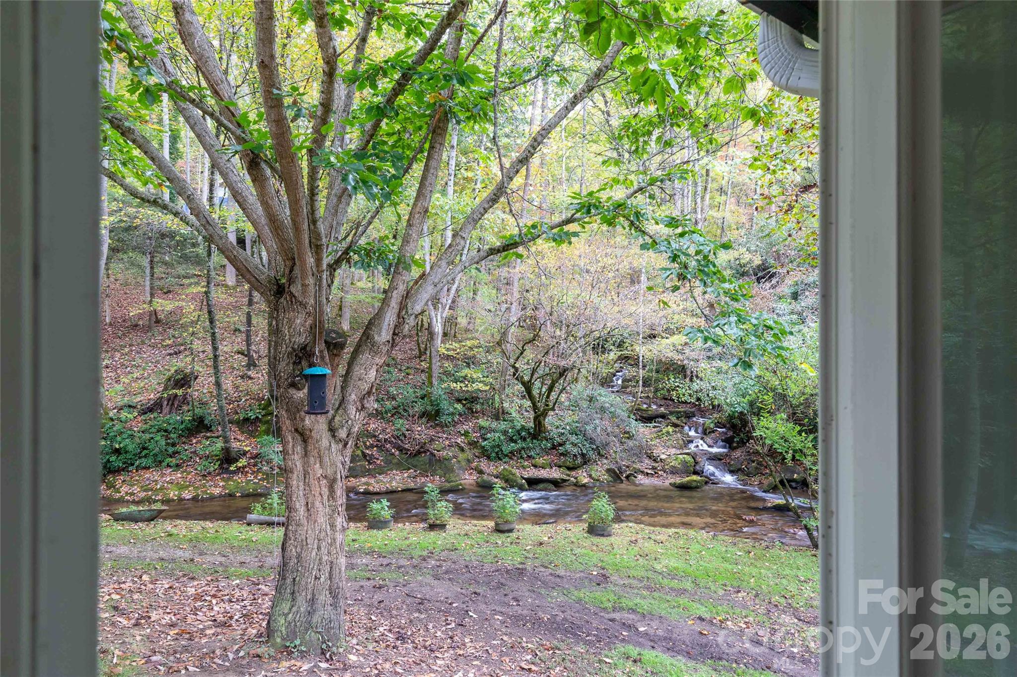 214 Chin Tree Road Sylva, NC 28779 - Photo 26 of 37